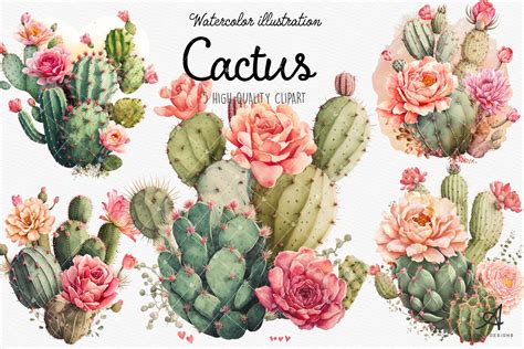 Watercolor Cactus Sublimation Graphic By ArvinDesigns Creative Fabrica