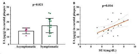 Uric Acid Ua Concentration In Carotid Plaques From Symptomatic And Download Scientific