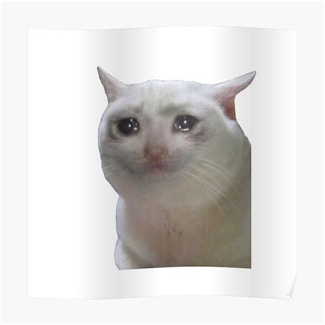 Depressed White Cat Meme - bmp-city