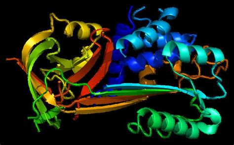 Plasminogen activator inhibitor 2 - Alchetron, the free social encyclopedia