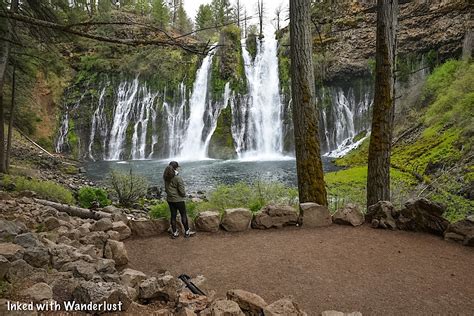 How To Hike The Burney Falls Scenic Loop Trail — Inked with Wanderlust