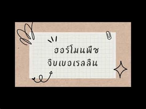 ฮอรโมนพช จบเบอเรลลน Gibberellin YouTube