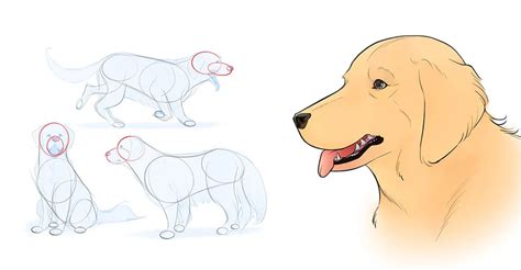 Descubrir Más De 86 Aprender A Dibujar Un Perro Vn