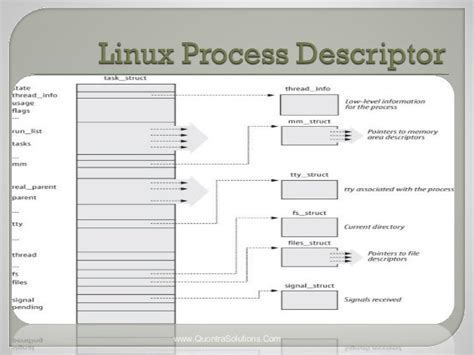 Process and Threads in Linux - PPT