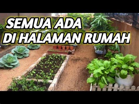 Detail Membuat Kebun Sayur Di Pekarangan Rumah Koleksi Nomer 42