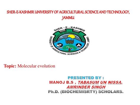 Molecular evolution