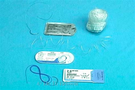 Suture Materials – Veterinary Surgery Online