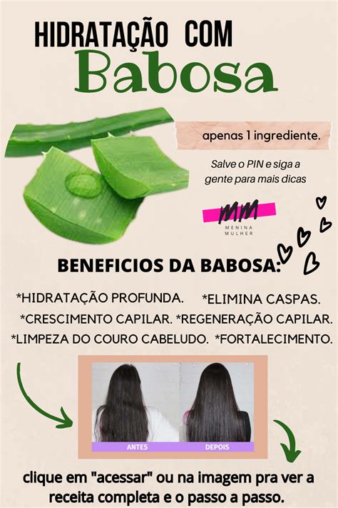 Hidrata O Caseira Babosa Benef Cios E Como Usar Babosa Para