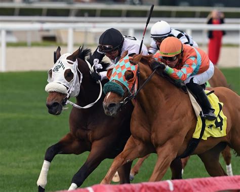 Belgrano Dio La Sorpresa Ganando El Janus Stakes En Final De Foto