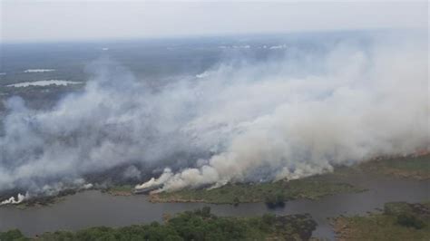 Kabut Asap Diduga Hasil Kebakaran Lahan Mulai Selimuti Pekanbaru