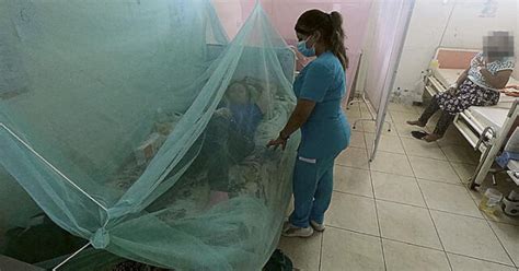 Dengue en el Perú Piura Chiclayo trasladan a 9 menores con casos