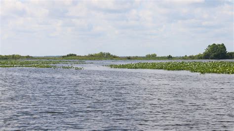 Florida Lakes and Rivers Map: Charting Aquatic Adventures