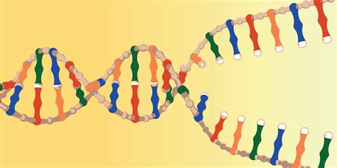 ImprovedExperience - An Introduction to DNA Ligase