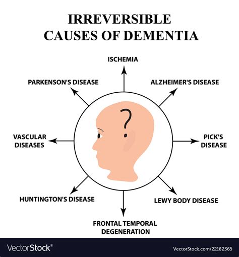 Irreversible causes of senile dementia alzheimers Vector Image