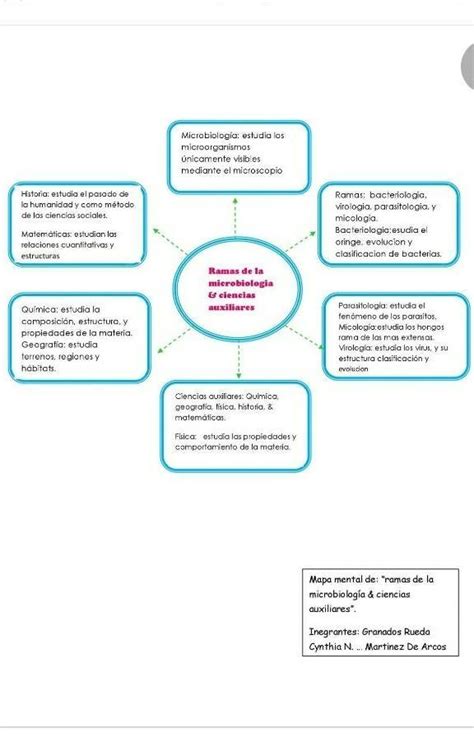 Arriba Imagen Mapa Mental Ciencias Auxiliares Abzlocal Mx