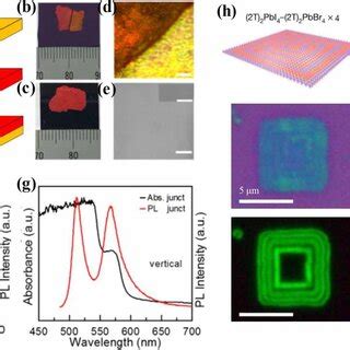 Interlayer Coupling In 2D Perovskite TMD Heterostructures A