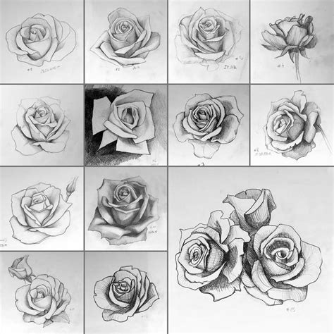 Realistic Rose Tattoo Rose Drawing Tattoo Rose Flower Tattoos