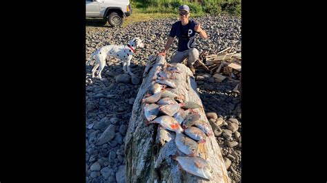 Seaside Cove Fishing For Red Tails Oregon Coast Surf Perch Fishing