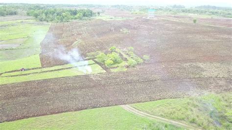 Kementan Dan Sumba Tengah Percepat Proses Tanam Di Kawasan Food Estate