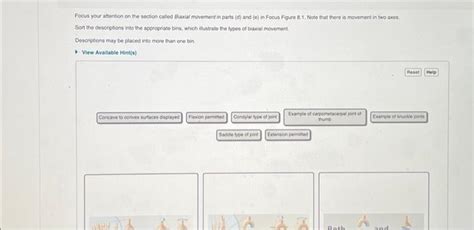 Focus Your Attention On The Section Called Biaxial Chegg