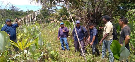 MiAMBIENTE implementará proyecto de tagua y chunga en Darién MiAmbiente