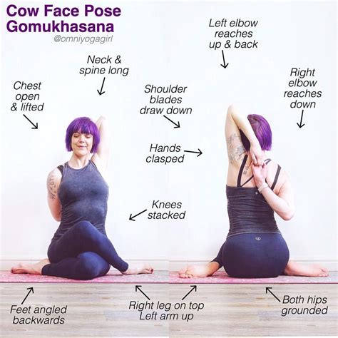 In this weeks edition of #TriYogaSchool we are studying #cowfacepose or ...