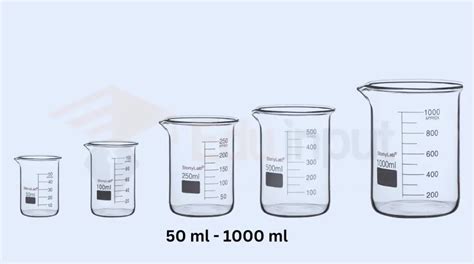 Beaker - Parts, Sizes, Uses, and How to Use It