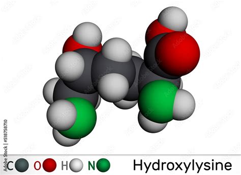 Hydroxylysine Hyl Molecule It Is Amino Acid Human Metabolite