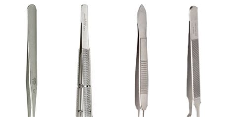 Introduction To Laboratory Forceps