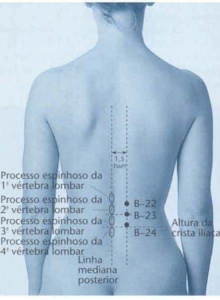 Atlas De Acupuntura Claudia Focks Acupuntura La Columna Vertebral