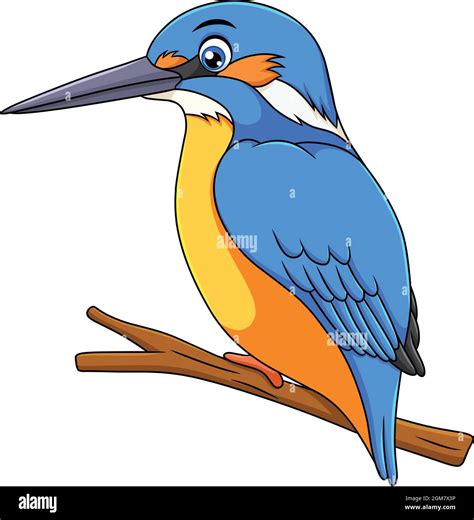 Cute Kingfisher Bird Cartoon Vector Illustration Stock Vector Image