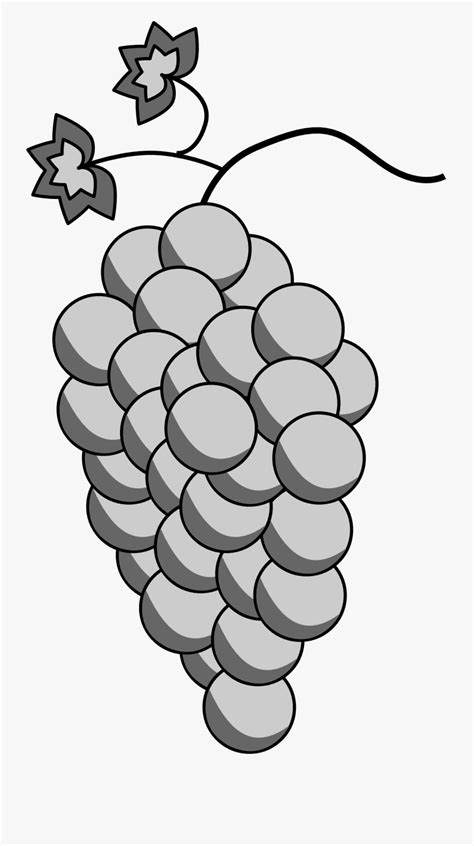 Transparent Grape Cluster Clipart - Grape , Free Transparent Clipart ...