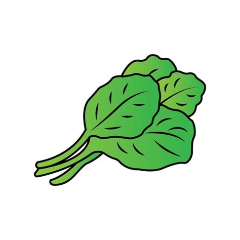 Premium Vector Fresh Spinach Vegetable Logoicon Vector Illustration