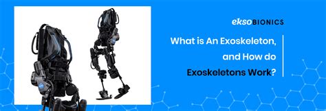 effective  exoskeleton rehabilitation