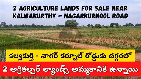 Agriculture Land For Sale Near Kalwakurthy 6 9 Acres Land For Sale