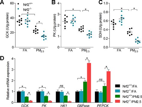 Nrf2 Knockout Enhances Abnormal Glucose Metabolism In Hearts Of