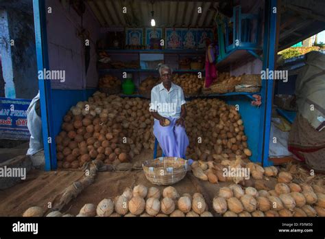 A Coconut Seller In Market Stock Photo Alamy