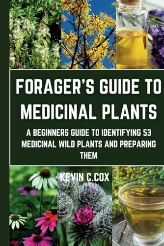 FORAGERS GUIDE TO MEDICINAL PLANTS A Beginner S Guide To Identifying