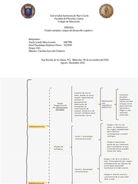 Cuadro Sinóptico Psico Descargar Gratis Pdf Memoria Adultos