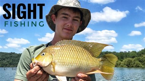 Insane Redbreast Tilapia Sight Fishing Action Zimbabwe YouTube