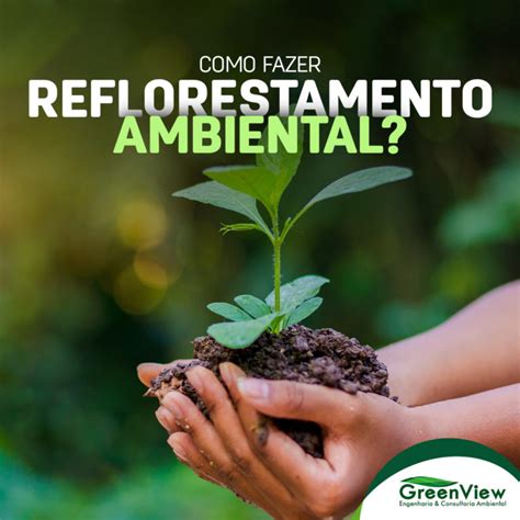 Como Fazer Reflorestamento Ambiental GreenView Consultoria