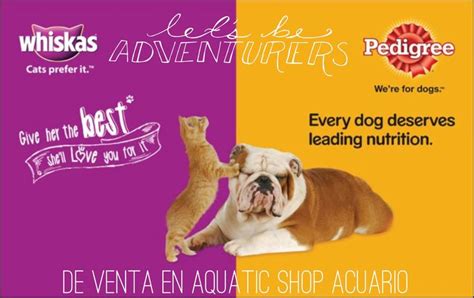 Pedigree Whiskas De Venta En Aquatic Shop Acuario Acuario Mascotas