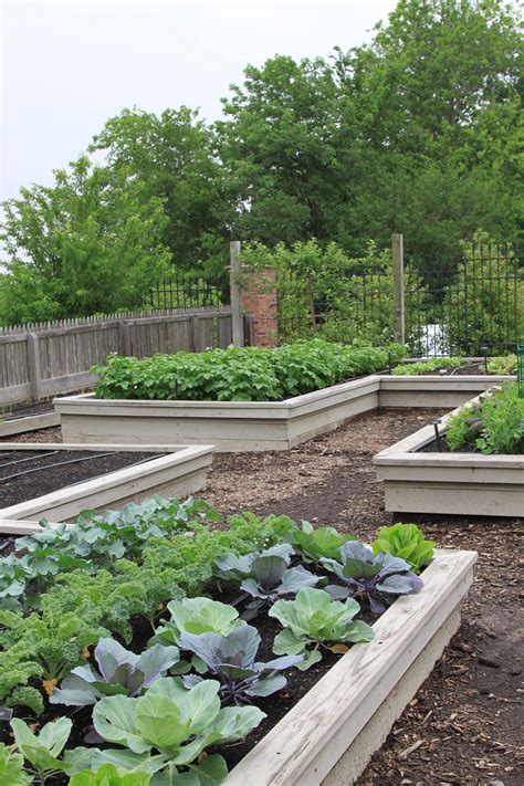 15 Home Vegetable Garden Design Ideas To Try This Year Sharonsable