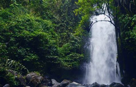 24 Tujuan Wisata Bengkulu Terfavorit Yang Harus Kamu Kunjungi Threeveler