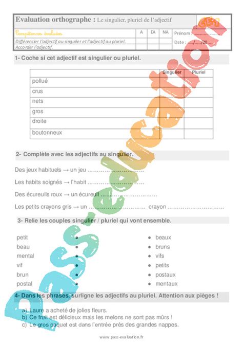 Evaluation Et Bilan Pour Le Ce1 Le Singulier Pluriel Des Adjectifs