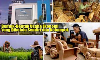 Jenis Usaha Ekonomi Yang Dikelola Sendiri Dan Kelompok Media Edukatif