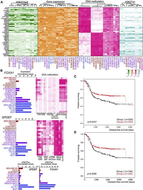 Integrated View Of Gene Expression Dna Methylation H3k27me3 And