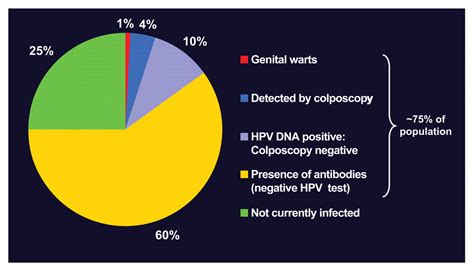 Genital Human Papillomavirus Hpv