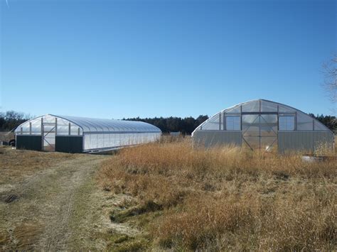 Gallery Zimmerman S High Tunnels Greenhouses