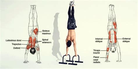 Cómo hacer handstand paralelas Una guía paso a paso